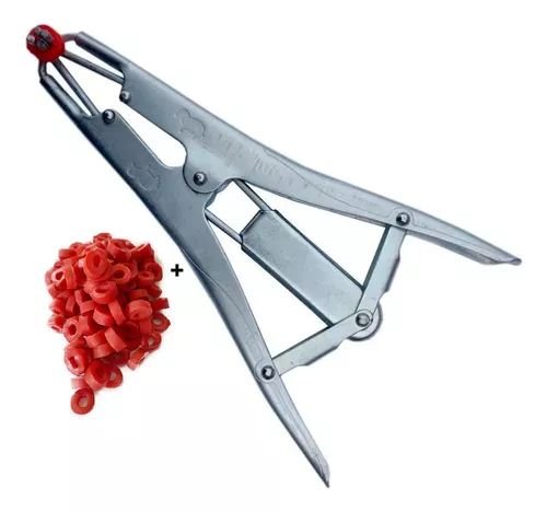 D_NQ_NP_815530-MLB71101675869_082023-O