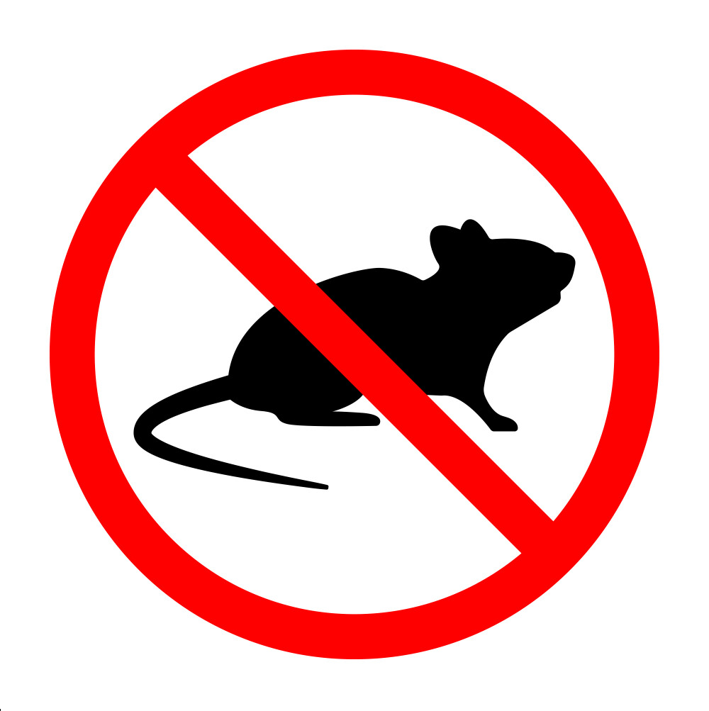 no rats sign vector 46494133