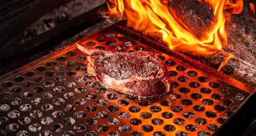 grelha moeda 40cm grilazer 2251 2 27d31c9e2d91c1bb074c76290527d819